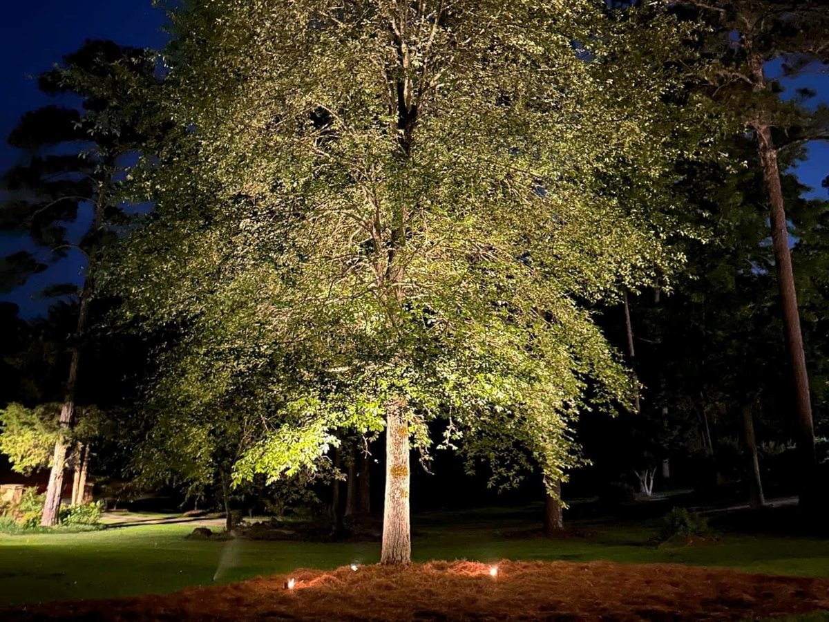 Catálogo 2025 de luminarias de estaca (39.0)