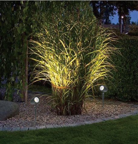LED Spike Light